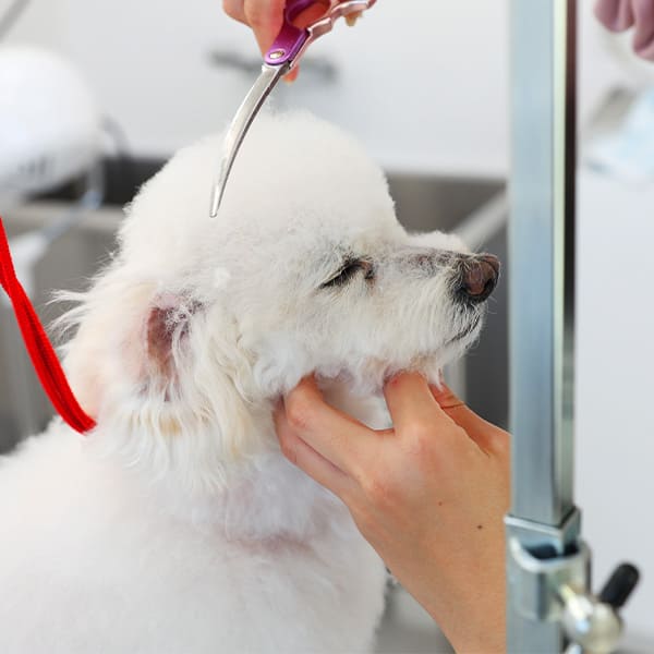 年齢や持病に合わせた安心ケア