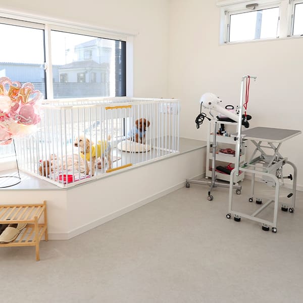 トリミング前のカウンセリングで安心