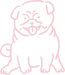 わんこのイメージ