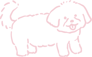 わんこのイメージ