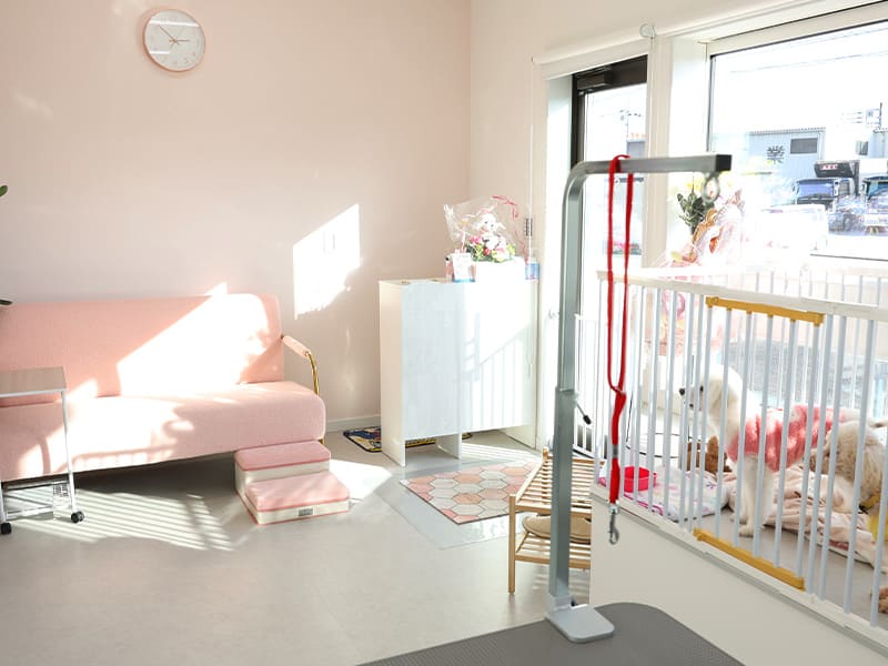 ドッグサロン shou shou のイメージ