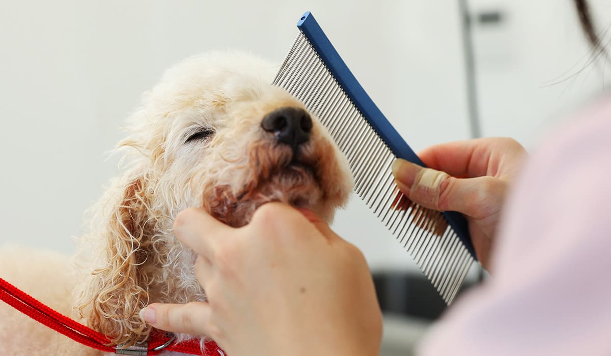 当日予約も可能で便利、まずはお問い合わせください